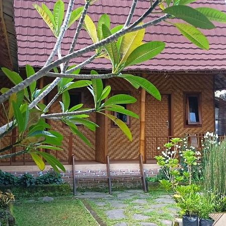 Mysha Guest House-Lombok Tetebatu Exteriér fotografie
