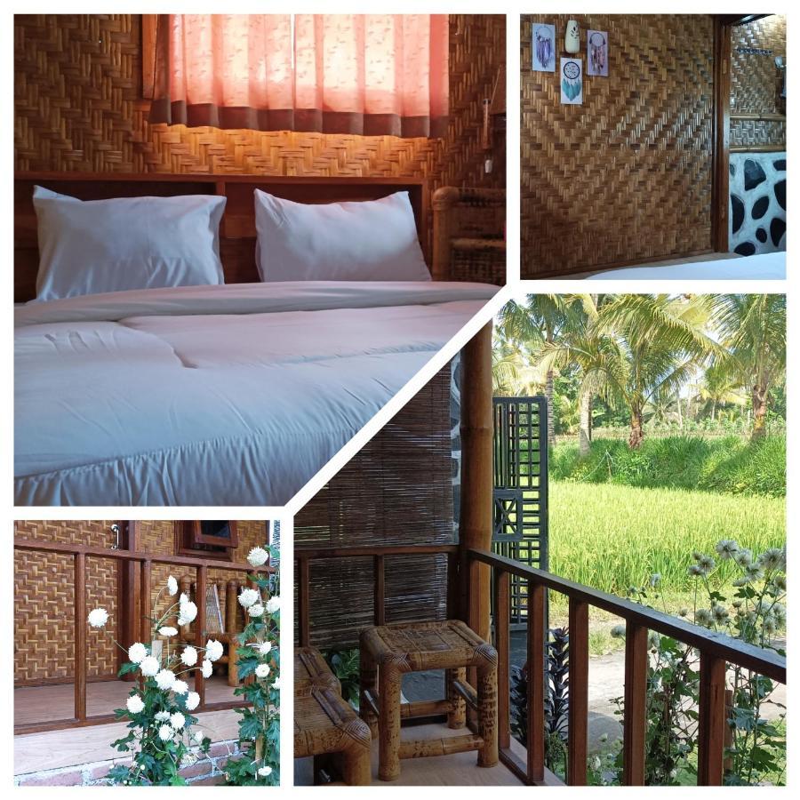 Mysha Guest House-Lombok Tetebatu Exteriér fotografie