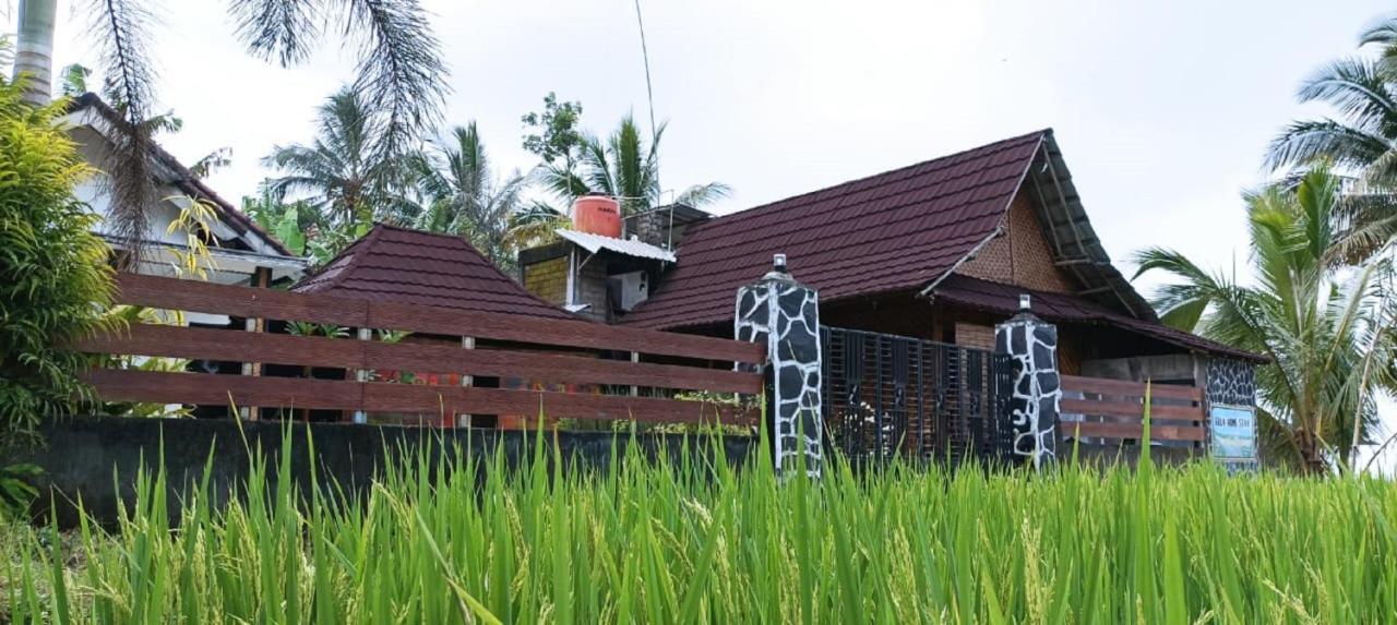 Mysha Guest House-Lombok Tetebatu Exteriér fotografie