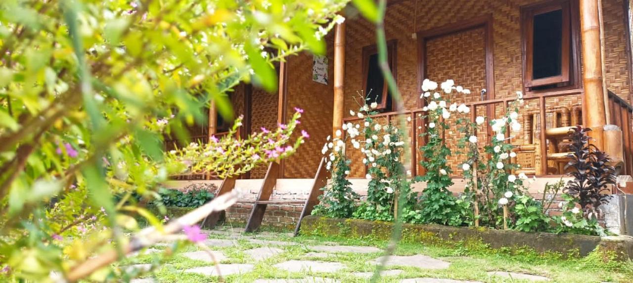 Mysha Guest House-Lombok Tetebatu Exteriér fotografie