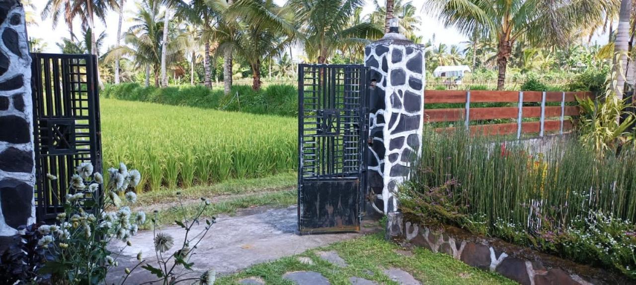 Mysha Guest House-Lombok Tetebatu Exteriér fotografie