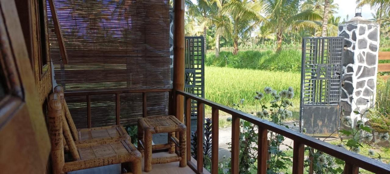 Mysha Guest House-Lombok Tetebatu Exteriér fotografie