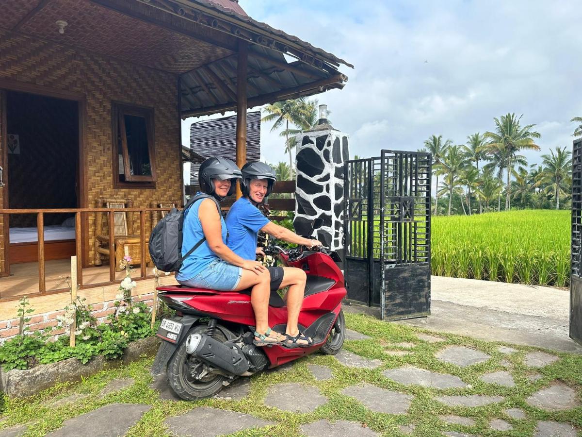 Mysha Guest House-Lombok Tetebatu Exteriér fotografie